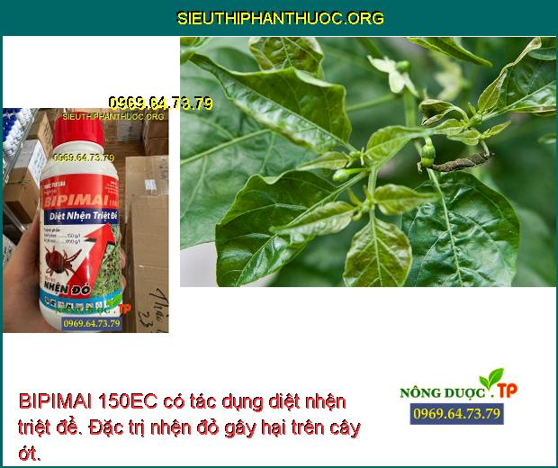 BIPIMAI 150EC có tác dụng diệt nhện triệt để. Đặc trị nhện đỏ gây hại trên cây ớt.