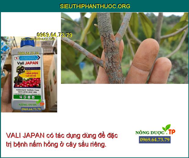 VALI JAPAN có tác dụng dùng để đặc trị bệnh nấm hồng ở cây sầu riêng.