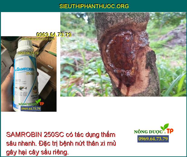 SAMROBIN 250SC có tác dụng thấm sâu nhanh. Đặc trị bệnh nứt thân xì mủ gây hại cây sầu riêng.