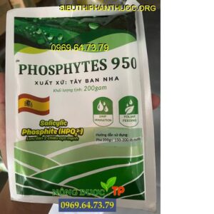 PHOSPHYTES 950 BIO PHOTAS 50 34