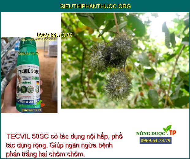 TECVIL 50SC có tác dụng nội hấp, phổ tác dụng rộng. Giúp ngăn ngừa bệnh phấn trắng hại chôm chôm.