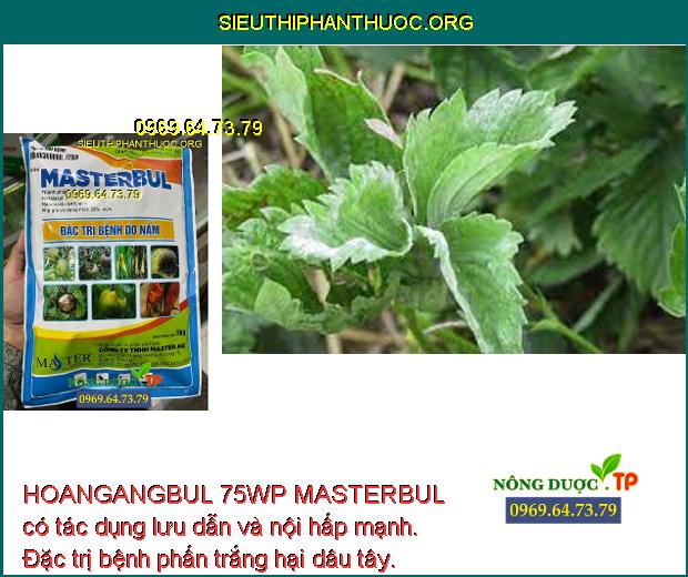 HOANGANGBUL 75WP MASTERBUL có tác dụng lưu dẫn và nội hấp mạnh. Đặc trị bệnh phấn trắng hại dâu tây.