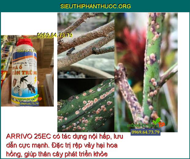 ARRIVO 25EC- Đặc Trị Rệp Sáp- Bọ Xít- Sâu Keo- Sâu Đục Thân- Rầy Xanh ...