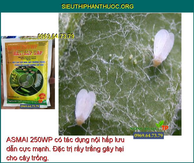 ASMAI 250WP có tác dụng nội hấp lưu dẫn cực mạnh. Đặc trị rầy trắng gây hại cho cây trồng.