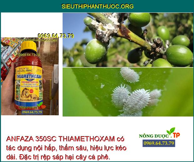 ANFAZA 350SC THIAMETHOXAM có tác dụng nội hấp, thấm sâu, hiệu lực kéo dài. Đặc trị rệp sáp hại cây cà phê.