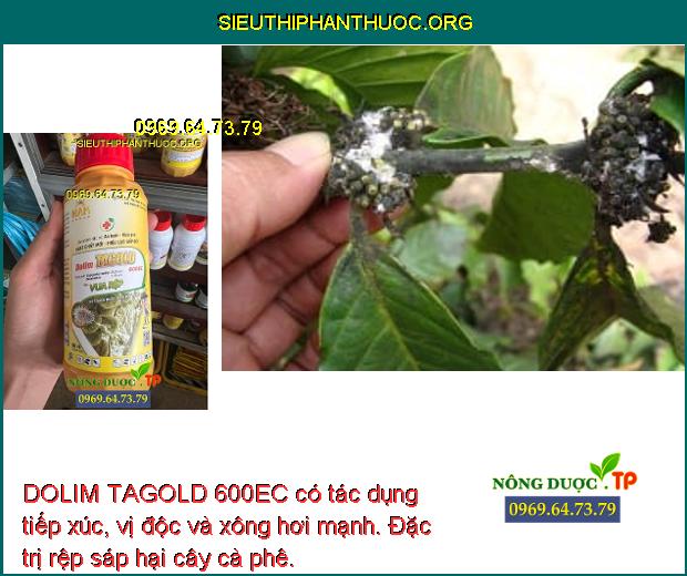 DOLIM TAGOLD 600EC có tác dụng tiếp xúc, vị độc và xông hơi mạnh. Đặc trị rệp sáp hại cây cà phê.