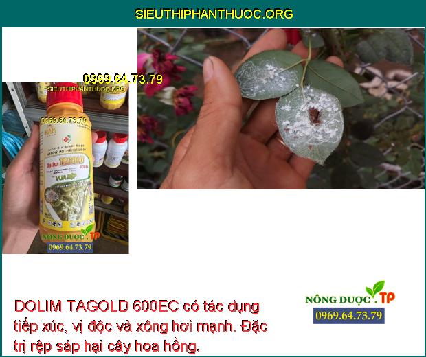 DOLIM TAGOLD 600EC có tác dụng tiếp xúc, vị độc và xông hơi mạnh. Đặc trị rệp sáp hại cây hoa hồng.