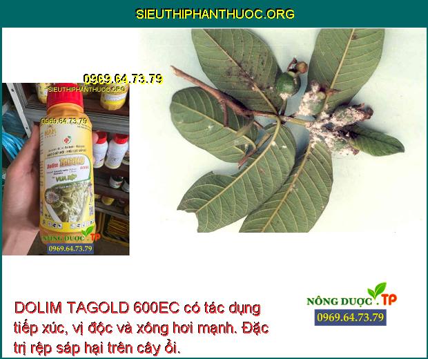 DOLIM TAGOLD 600EC có tác dụng tiếp xúc, vị độc và xông hơi mạnh. Đặc trị rệp sáp hại trên cây ổi.