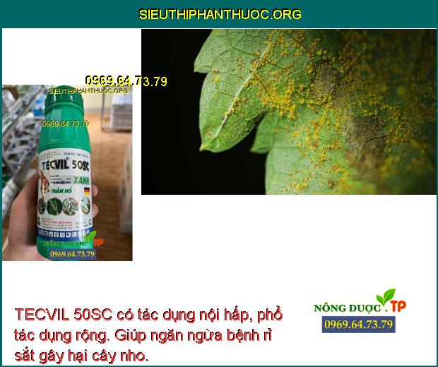 TECVIL 50SC có tác dụng nội hấp, phổ tác dụng rộng. Giúp ngăn ngừa bệnh rỉ sắt gây hại cây nho.