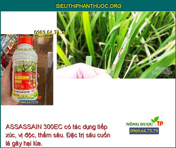 ASSASSAIN 300EC có tác dụng tiếp xúc, vị độc, thấm sâu. Đặc trị sâu cuốn lá gây hại lúa.