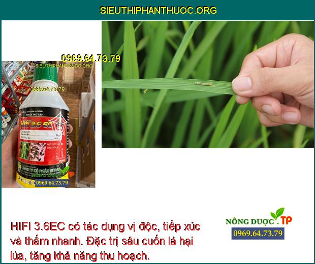 HIFI 3.6EC có tác dụng vị độc, tiếp xúc và thấm nhanh. Đặc trị sâu cuốn lá hại lúa, tăng khả năng thu hoạch.