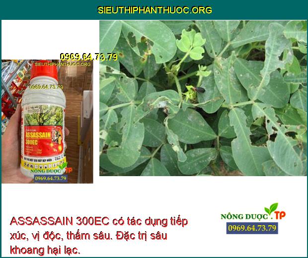 ASSASSAIN 300EC có tác dụng tiếp xúc, vị độc, thấm sâu. Đặc trị sâu khoang hại lạc.