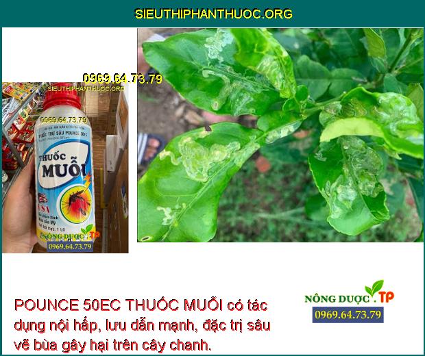 POUNCE 50EC THUỐC MUỖI có tác dụng nội hấp, lưu dẫn mạnh, đặc trị sâu vẽ bùa gây hại trên cây chanh.