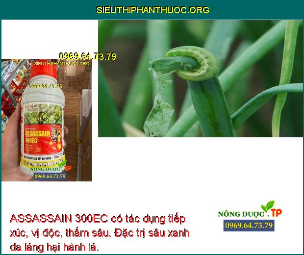ASSASSAIN 300EC có tác dụng tiếp xúc, vị độc, thấm sâu. Đặc trị sâu xanh da láng hại hành lá.