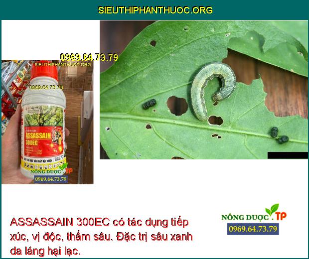 ASSASSAIN 300EC có tác dụng tiếp xúc, vị độc, thấm sâu. Đặc trị sâu xanh da láng hại lạc.