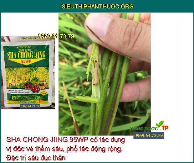 SHA CHONG JIING 95WP có tác dụng vị độc và thấm sâu, phổ tác động rộng. Đặc trị sâu đục thân hại lúa.