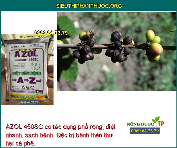 AZOL 450SC có tác dụng phổ rộng, diệt nhanh, sạch bệnh. Đặc trị bệnh thán thư hại cà phê.