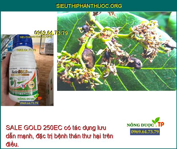 SALE GOLD 250EC có tác dụng lưu dẫn mạnh, đặc trị bệnh thán thư hại trên điều.