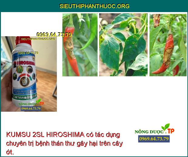 KUMSU 2SL HIROSHIMA có tác dụng chuyên trị bệnh thán thư gây hại trên cây ớt.
