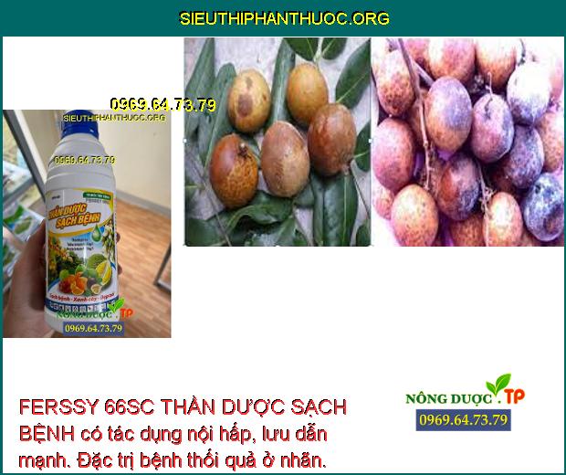 FERSSY 66SC THẦN DƯỢC SẠCH BỆNH có tác dụng nội hấp, lưu dẫn mạnh. Đặc trị bệnh thối quả ở nhãn.