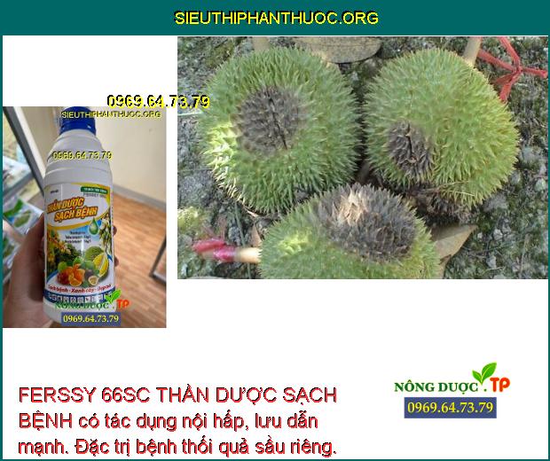 FERSSY 66SC THẦN DƯỢC SẠCH BỆNH có tác dụng nội hấp, lưu dẫn mạnh. Đặc trị bệnh thối quả sầu riêng.