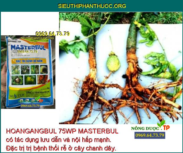 HOANGANGBUL 75WP MASTERBUL có tác dụng lưu dẫn và nội hấp mạnh. Đặc trị trị bệnh thối rễ ở cây chanh dây.