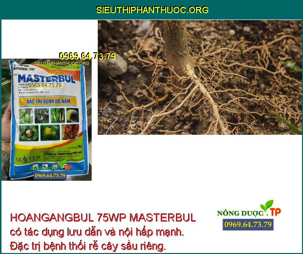 HOANGANGBUL 75WP MASTERBUL có tác dụng lưu dẫn và nội hấp mạnh. Đặc trị bệnh thối rễ cây sầu riêng.