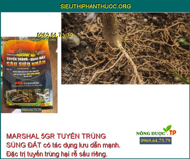 MARSHAL 5GR TUYẾN TRÙNG SÙNG ĐẤT có tác dụng lưu dẫn mạnh. Đặc trị tuyến trùng hại rễ sầu riêng.