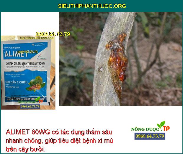 ALIMET 80WG có tác dụng thấm sâu nhanh chóng, giúp tiêu diệt bệnh xì mủ trên cây bưởi.