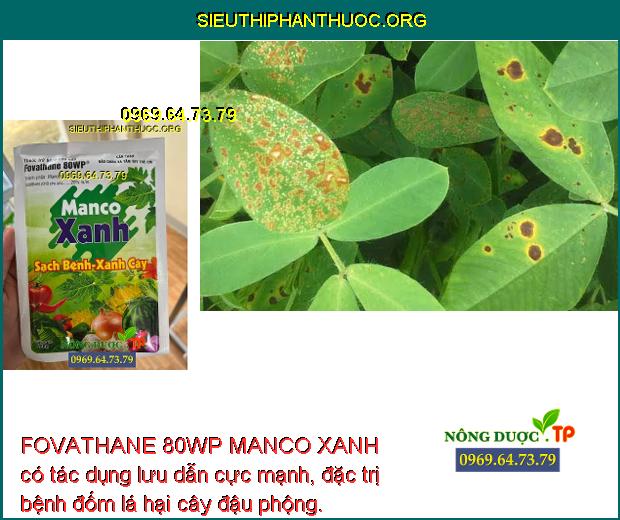 FOVATHANE 80WP MANCO XANH có tác dụng lưu dẫn cực mạnh, đặc trị bệnh đốm lá hại cây đậu phộng.