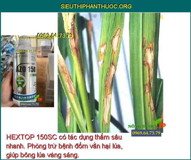 HEXTOP 150SC có tác dụng thấm sâu nhanh. Phòng trừ bệnh đốm vằn hại lúa, giúp bông lúa vàng sáng.