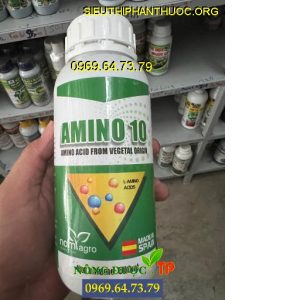 amino 10