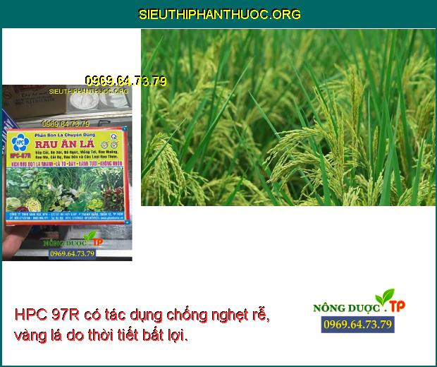 HPC 97R có tác dụng chống nghẹt rễ, vàng lá do thời tiết bất lợi.