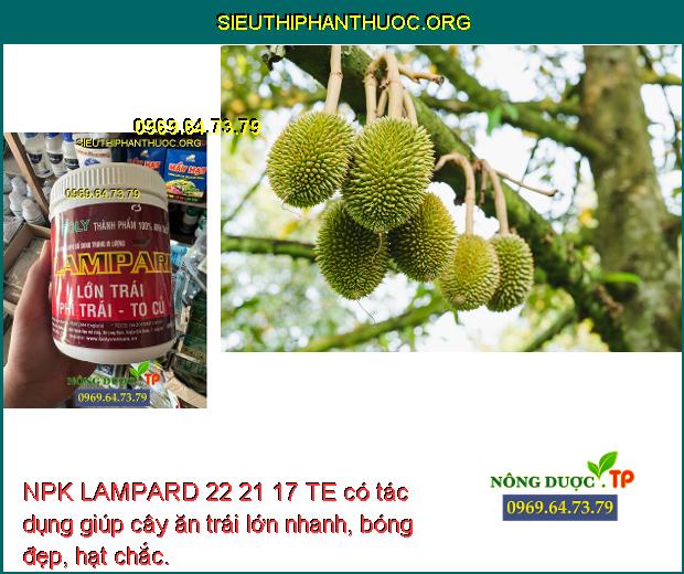 NPK LAMPARD 22 21 17 TE có tác dụng giúp cây ăn trái lớn nhanh, bóng đẹp, hạt chắc.
