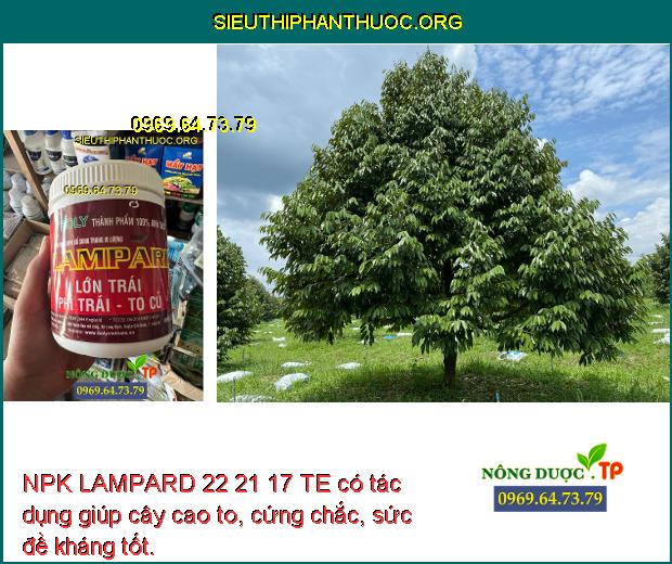 NPK LAMPARD 22 21 17 TE có tác dụng giúp cây cao to, cứng chắc, sức đề kháng tốt.