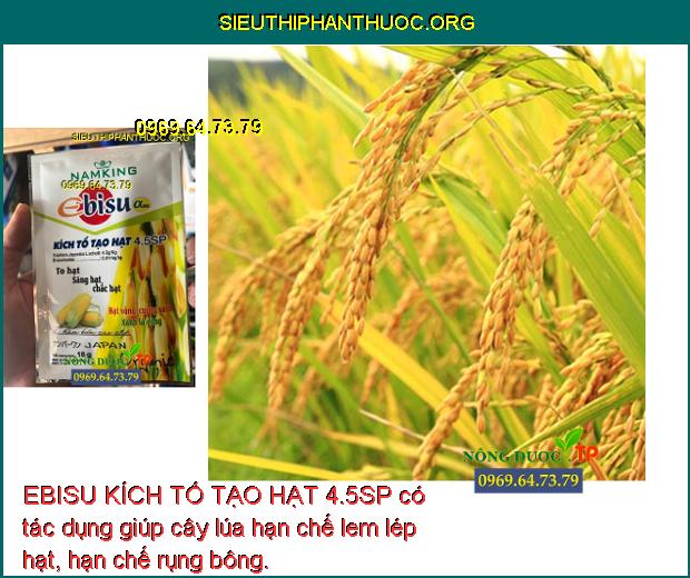 EBISU KÍCH TỐ TẠO HẠT 4.5SP có tác dụng giúp cây lúa hạn chế lem lép hạt, hạn chế rụng bông.
