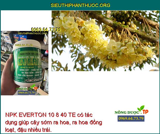 NPK EVERTON 10 8 40 TE có tác dụng giúp cây sớm ra hoa, ra hoa đồng loạt, đậu nhiều trái.