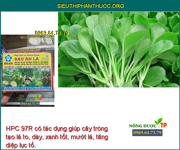 HPC 97R có tác dụng giúp cây tròng tạo lá to, dày, xanh tốt, mướt lá, tăng diệp lục tố.
