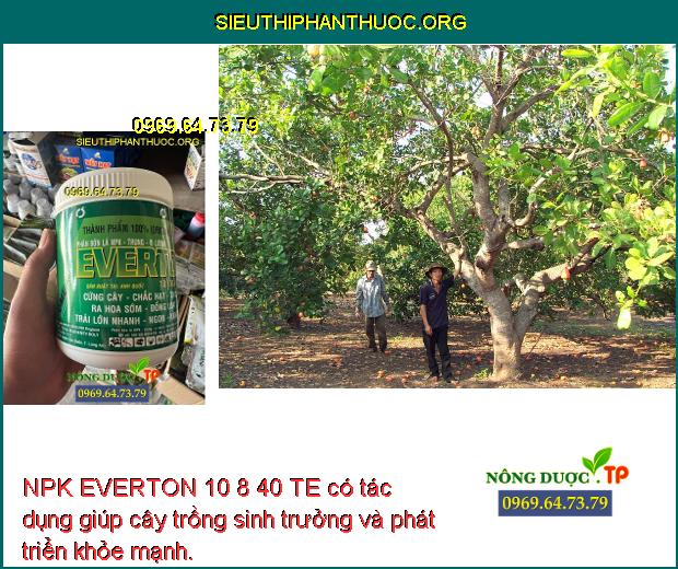NPK EVERTON 10 8 40 TE có tác dụng giúp cây trồng sinh trưởng và phát triển khỏe mạnh.