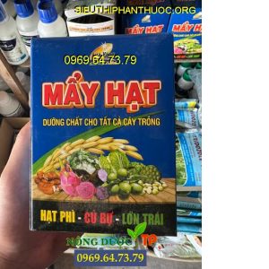 may hat nano lua vang