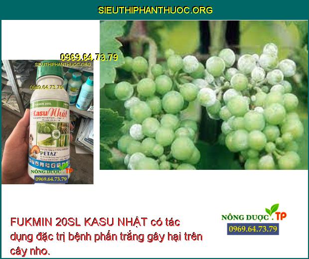 FUKMIN 20SL KASU NHẬT có tác dụng đặc trị bệnh phấn trắng gây hại trên cây nho.