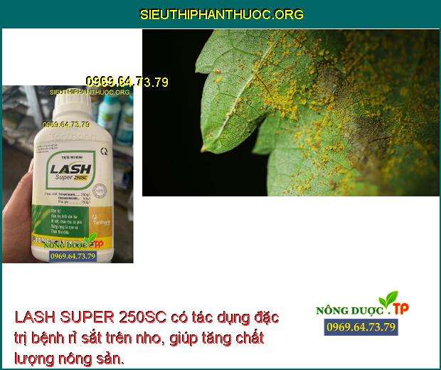 LASH SUPER 250SC có tác dụng đặc trị bệnh rỉ sắt trên nho, giúp tăng chất lượng nông sản.