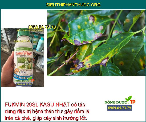 FUKMIN 20SL KASU NHẬT có tác dụng đặc trị bệnh thán thư gây đốm lá trên cà phê, giúp cây sinh trưởng tốt.