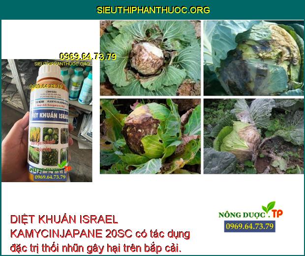 DIỆT KHUẨN ISRAEL KAMYCINJAPANE 20SC có tác dụng đặc trị thối nhũn gây hại trên bắp cải.