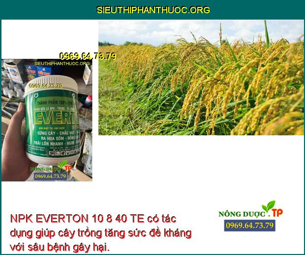 NPK EVERTON 10 8 40 TE có tác dụng giúp cây trồng tăng sức đề kháng với sâu bệnh gây hại.
