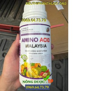 amino acid malaysia