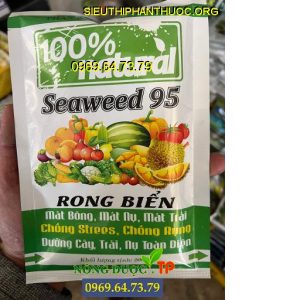 seaweed 95