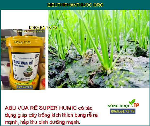 ABU VUA RỄ SUPER HUMIC- Kích Thích Bung Rễ Mạnh- Dưỡng Lá Xanh Dày- Cây ...