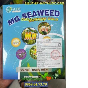 mg seaweed combi rong bien