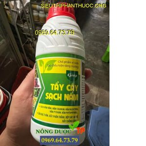 CHẾ PHẨM VI SINH TẨY CÂY SẠCH NẤM